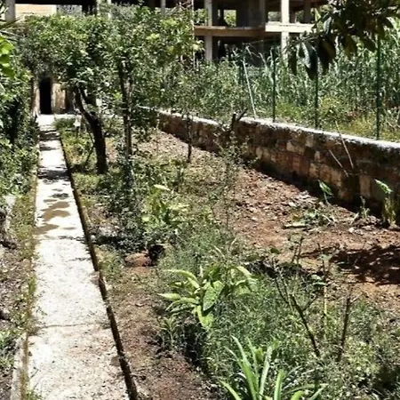 Apartament Vittorio's House With Garden-patio In Aspra *